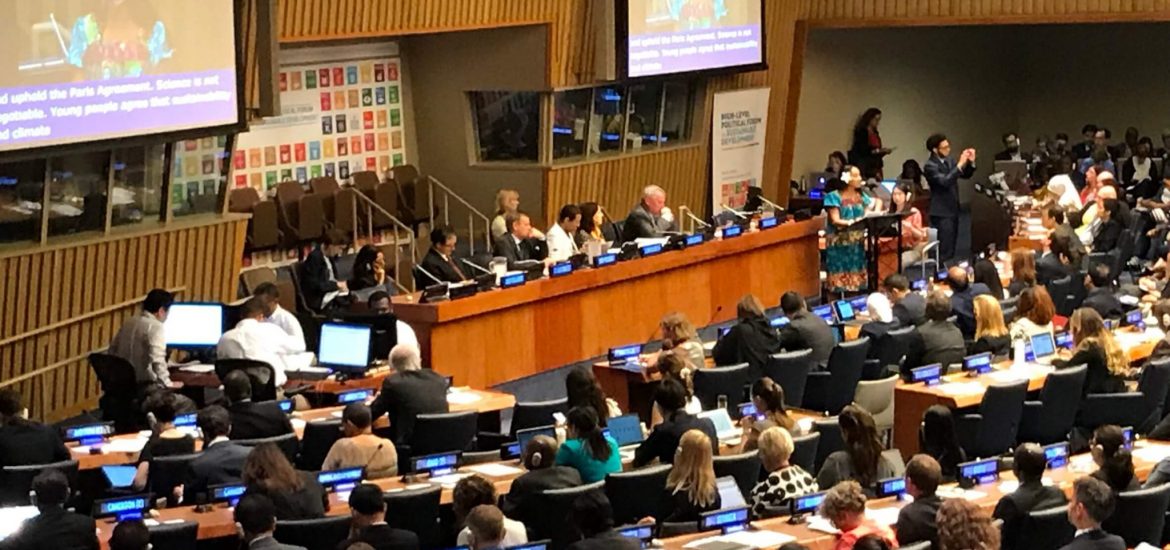 5.-HLPF2019_Plenary-2048x1537